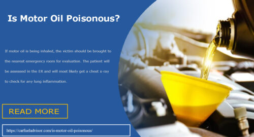 Is Motor Oil Poisonous